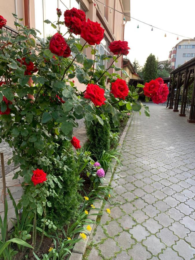 Pensiunea Passion Guest house 2*